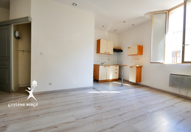 location Appartement Vauvert - Photo 2