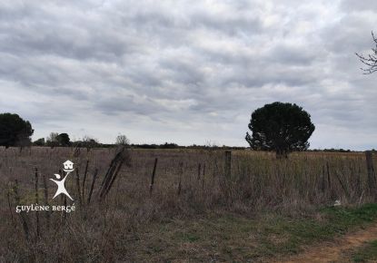 vente Terrain agricole Aimargues