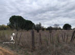 vente Terrain agricole Aimargues