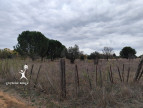 vente Terrain agricole Aimargues