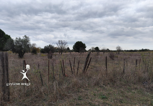 vente Terrain agricole Aimargues - Photo 3