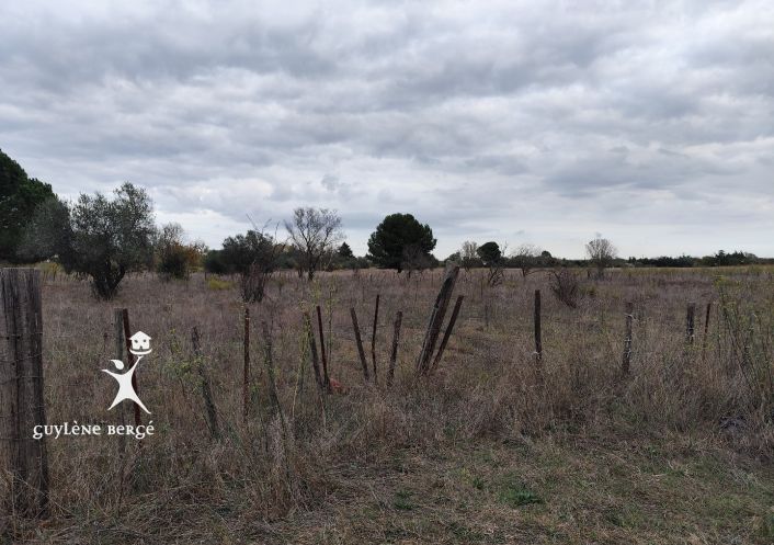 vente Terrain agricole Aimargues
