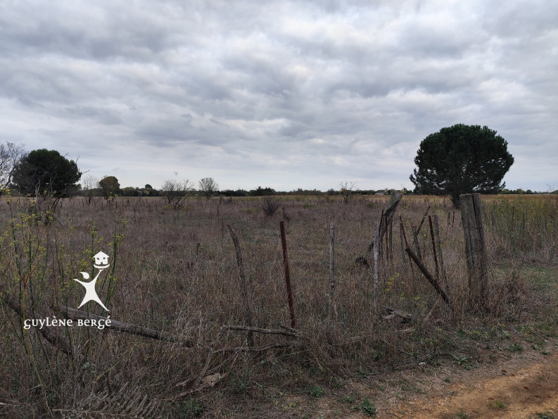 vente Terrain agricole Aimargues - Photo 4