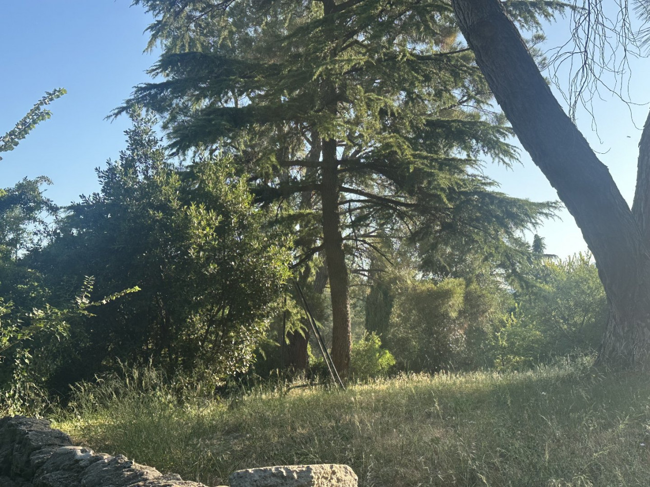 à vendre Terrain Fournes - Photo 1