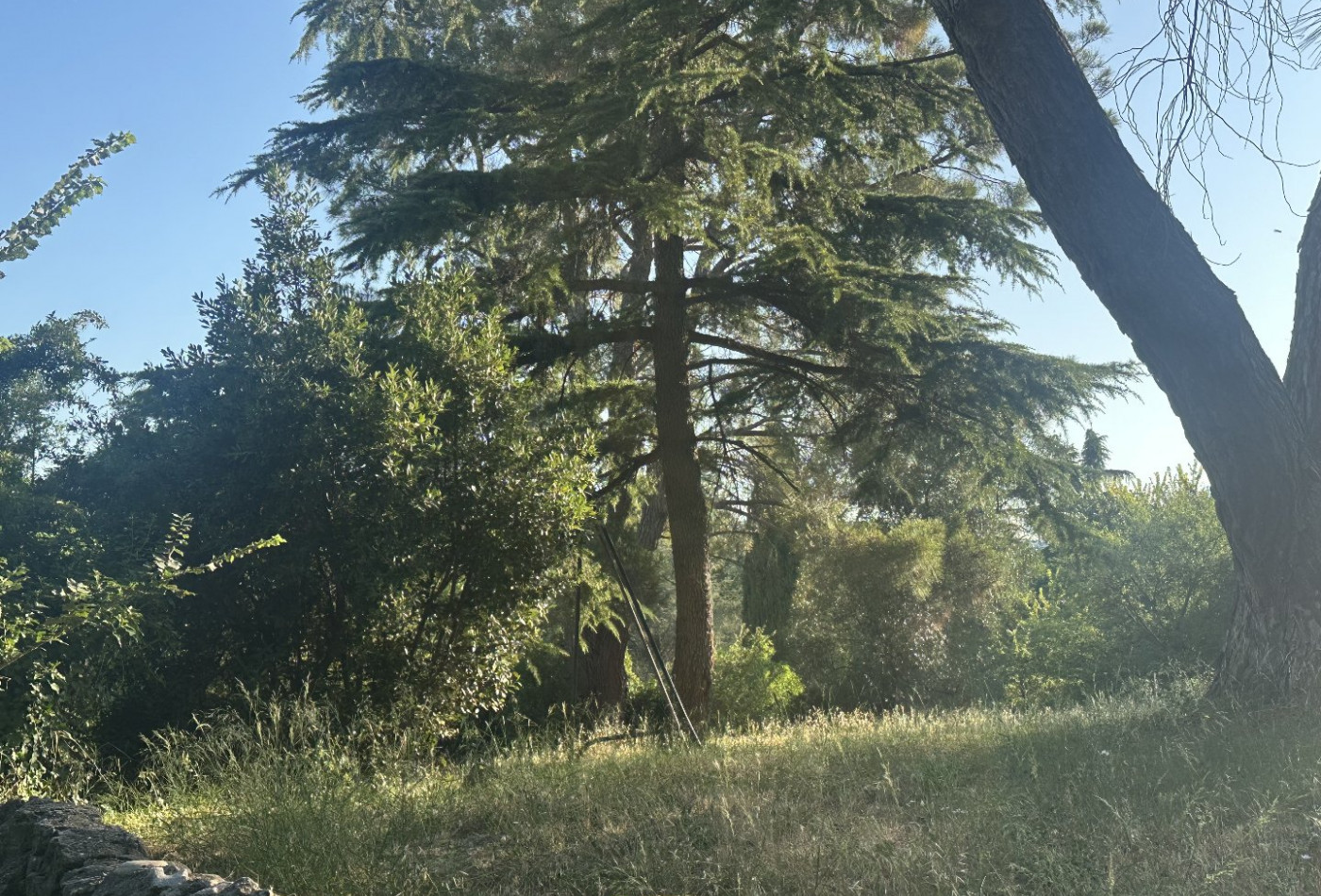 vente Terrain Fournes - Photo 1