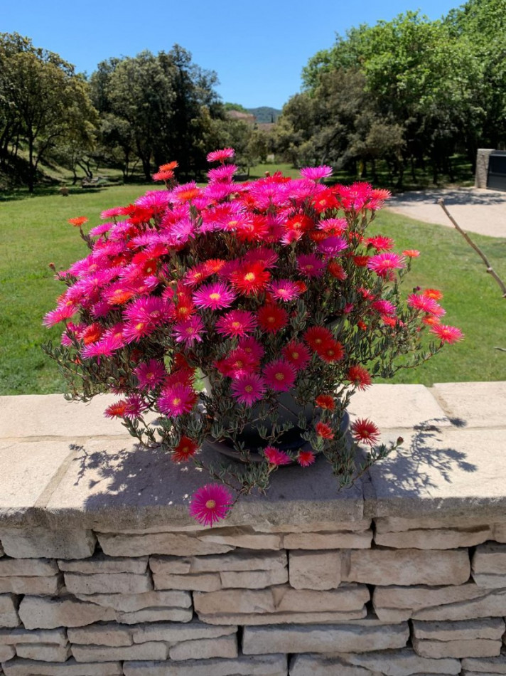 à vendre Maison Pujaut - Photo 19