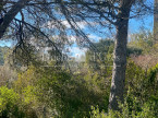 à vendre Terrain Uzes