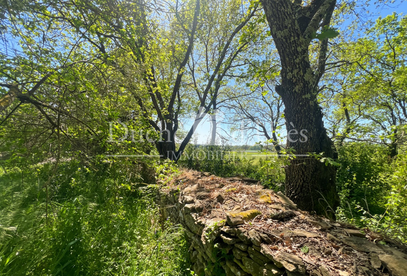 vente Terrain Uzes - Photo 1