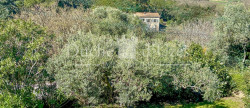 vente Villa Uzes