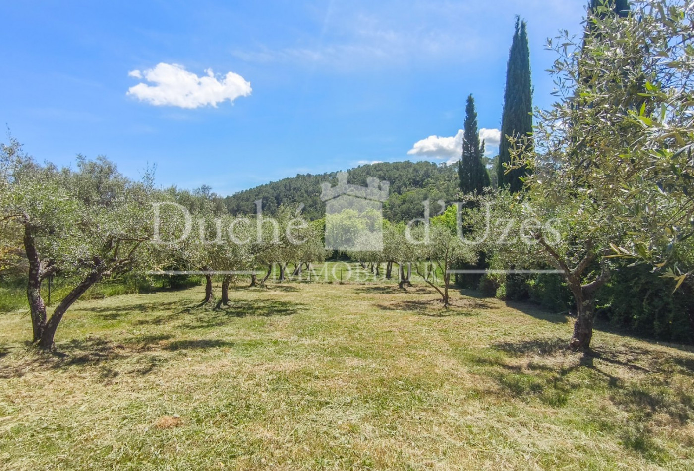vente Maison de caractère Uzes - Photo 4