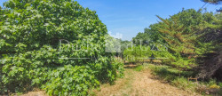 vente Maison et terrain Uzes