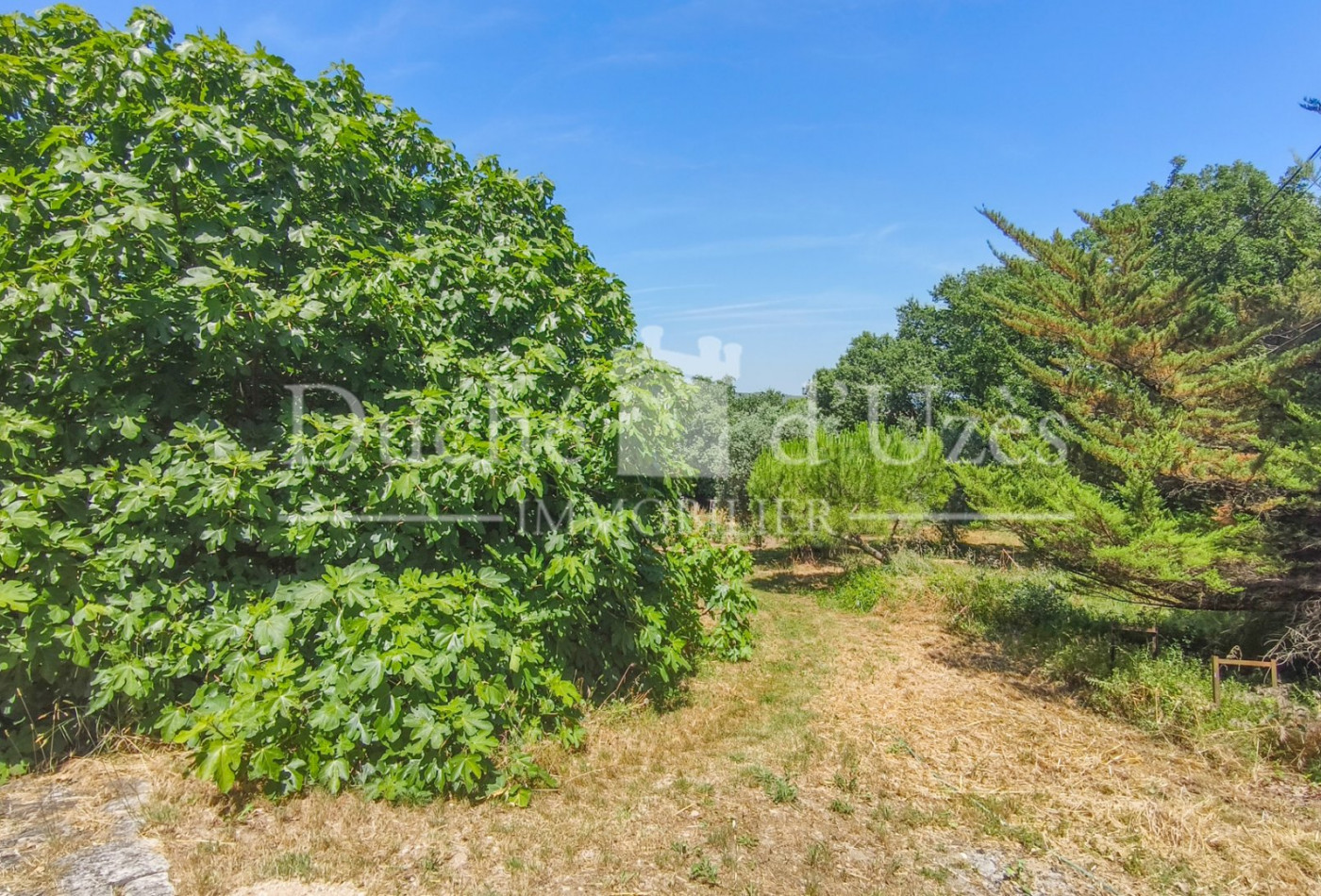 vente Maison et terrain Uzes - Photo 9