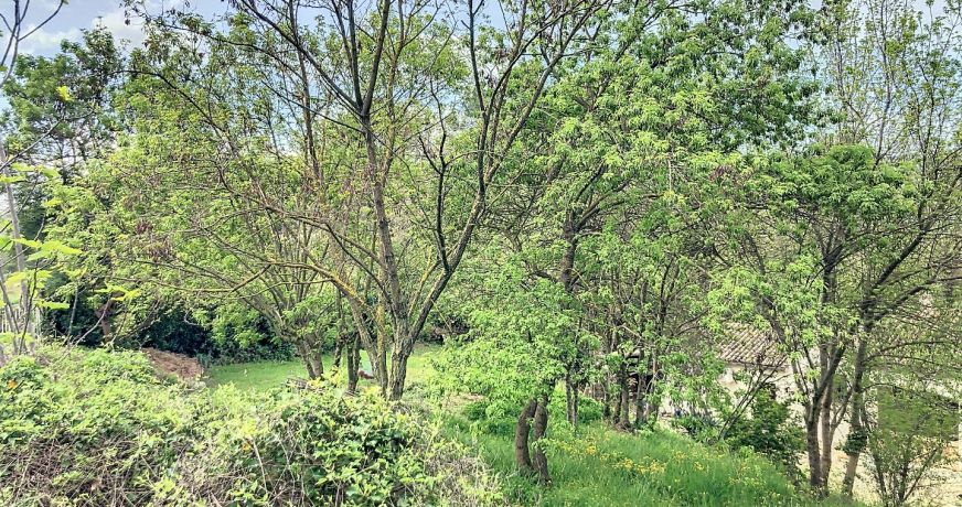 vente Terrain constructible Cruviers Lascours