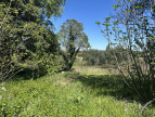 à vendre Maison de village Aigues Vives