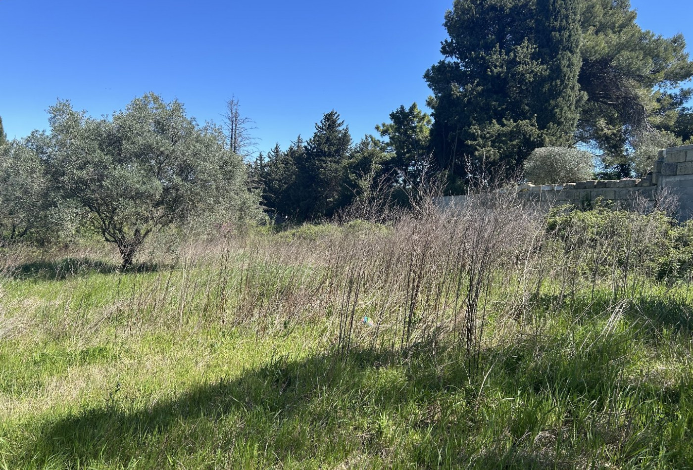 vente Maison de village Aigues Vives - Photo 4