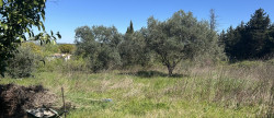 vente Maison de village Aigues Vives