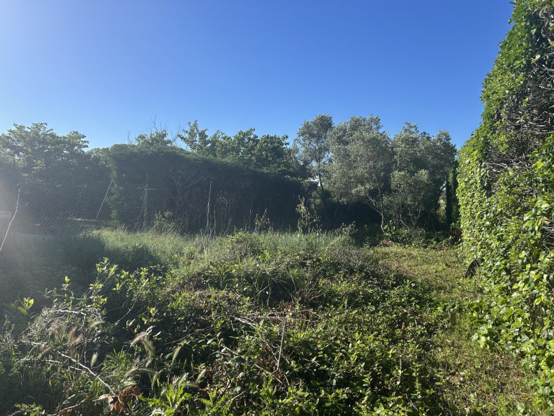 vente Terrain constructible Calvisson - Photo 4