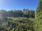 vente Terrain constructible Calvisson