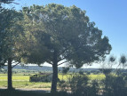 vente Terrain constructible Calvisson