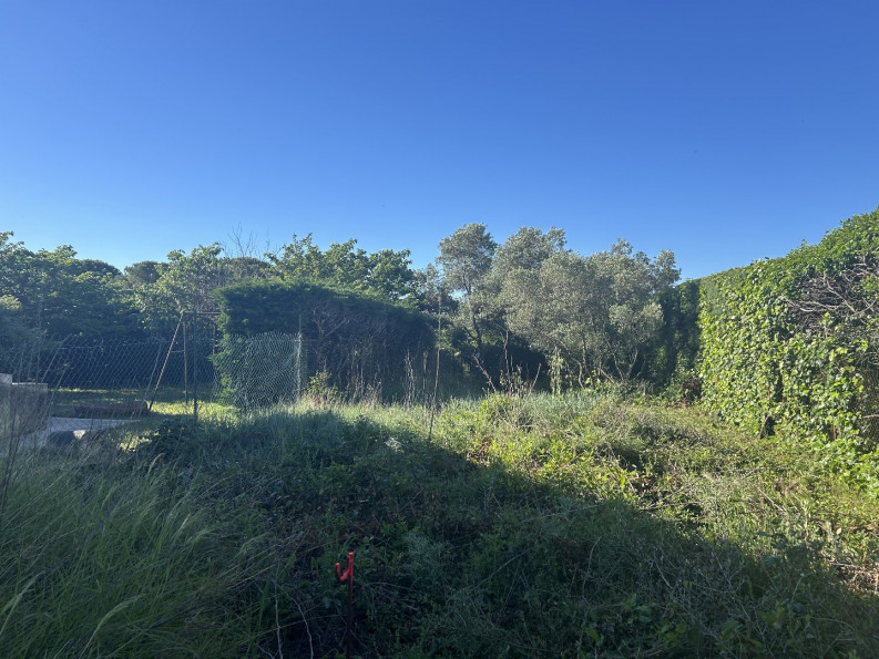 vente Terrain constructible Calvisson - Photo 3