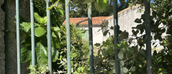 vente Maison Calvisson