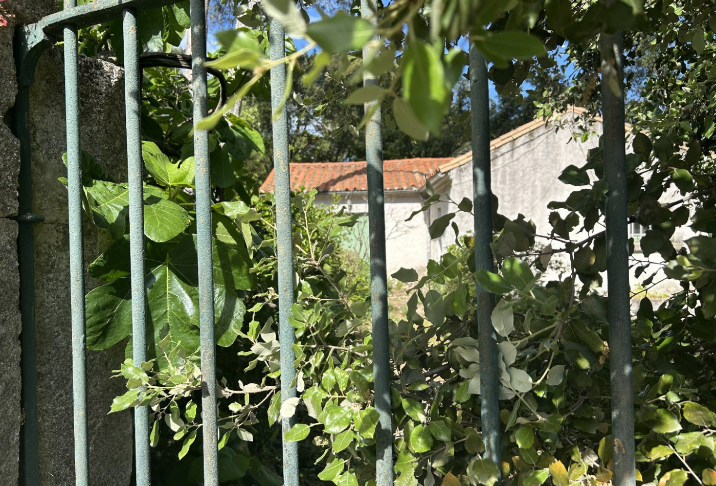 vente Maison Calvisson - Photo 3