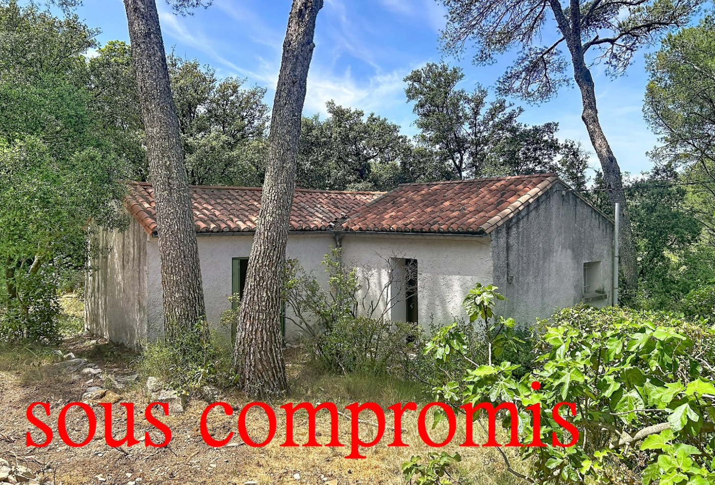 vente Maison Calvisson - Photo 1