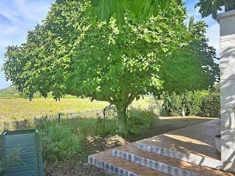 à vendre Villa Calvisson - Photo 7