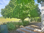 à vendre Villa Calvisson
