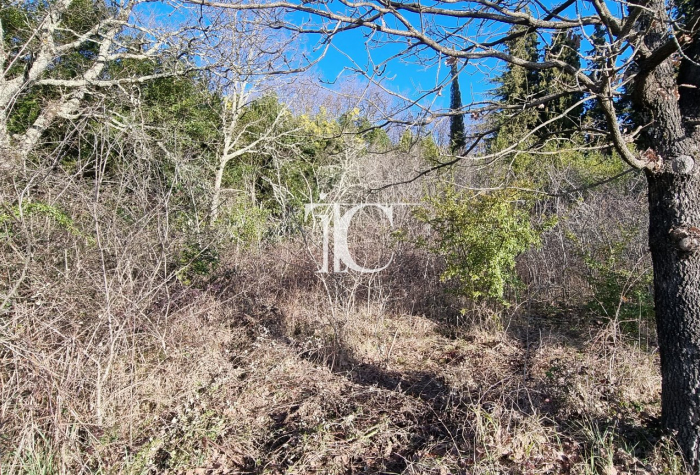 vente Terrain Saint Paul Le Jeune - Photo 3