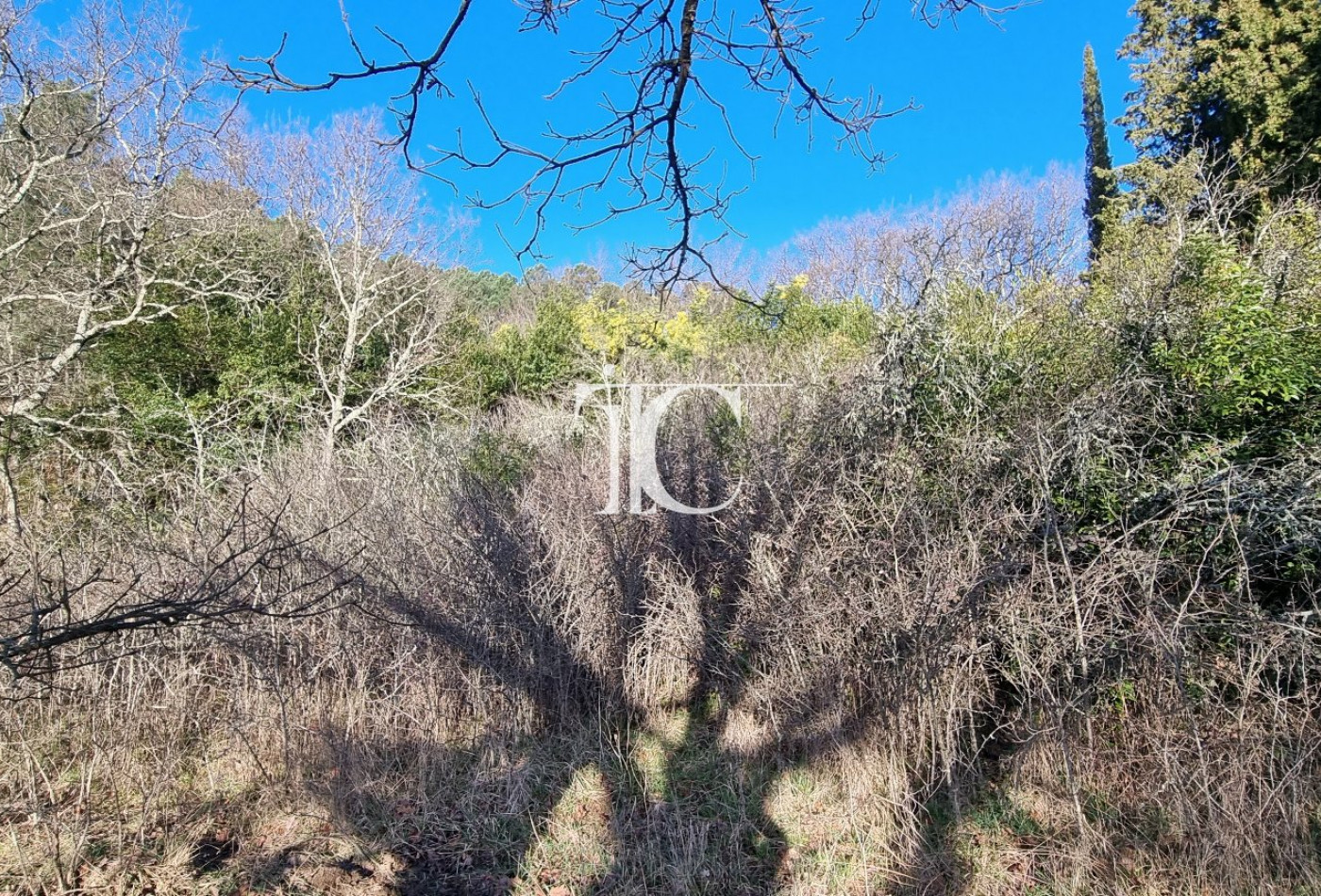 vente Terrain Saint Paul Le Jeune - Photo 2