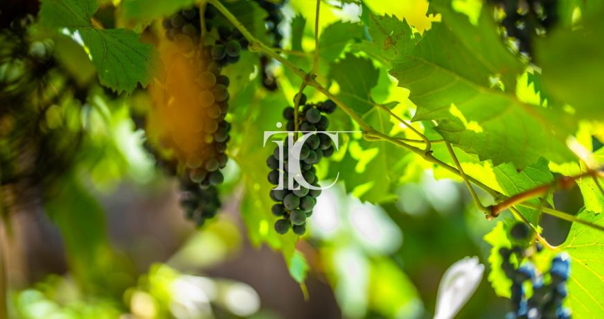 vente Maison de caractère Payzac