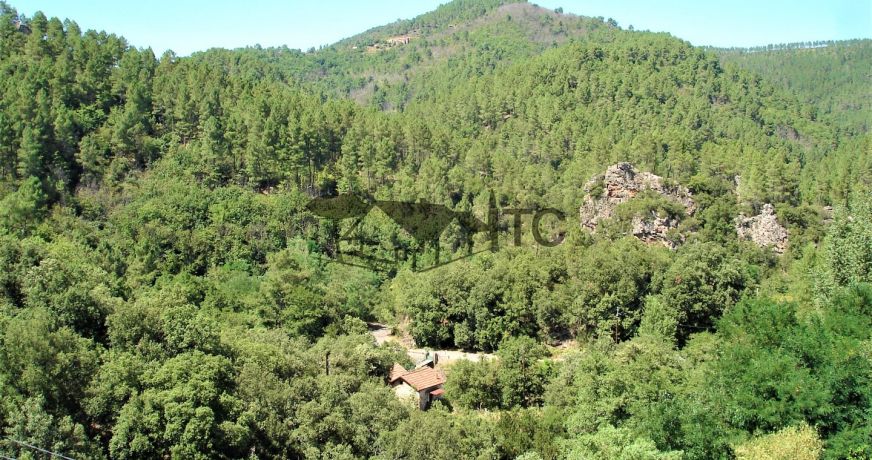 vente Maison de village Les Mages