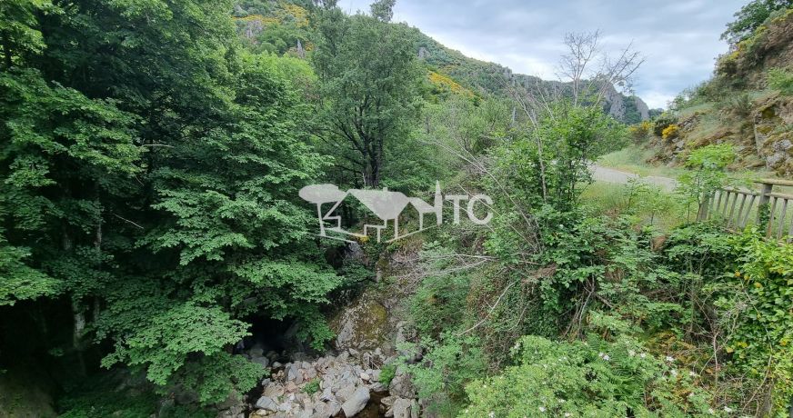 vente Corps de ferme Montselgues