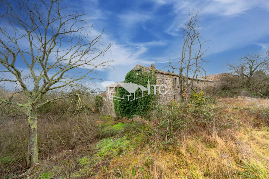 vente Maison à rénover Berrias Et Casteljau - Photo 1