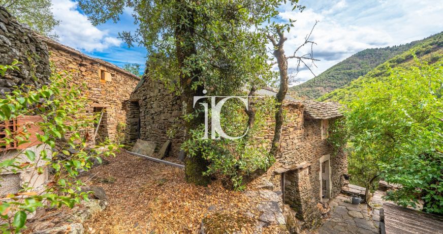 vente Maison en pierre Bonnevaux