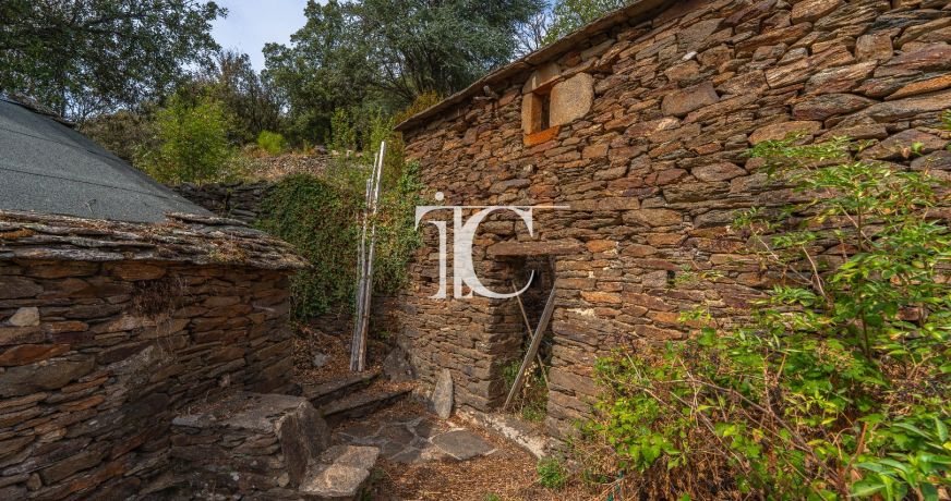 vente Maison en pierre Bonnevaux