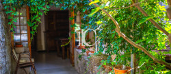 vente Maison Saint Paul Le Jeune