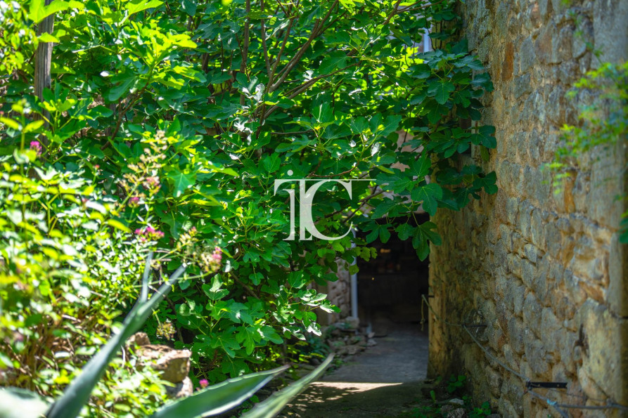 vente Maison Saint Paul Le Jeune - Photo 10