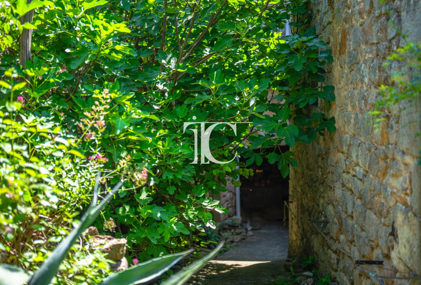 vente Maison Saint Paul Le Jeune - Photo 10
