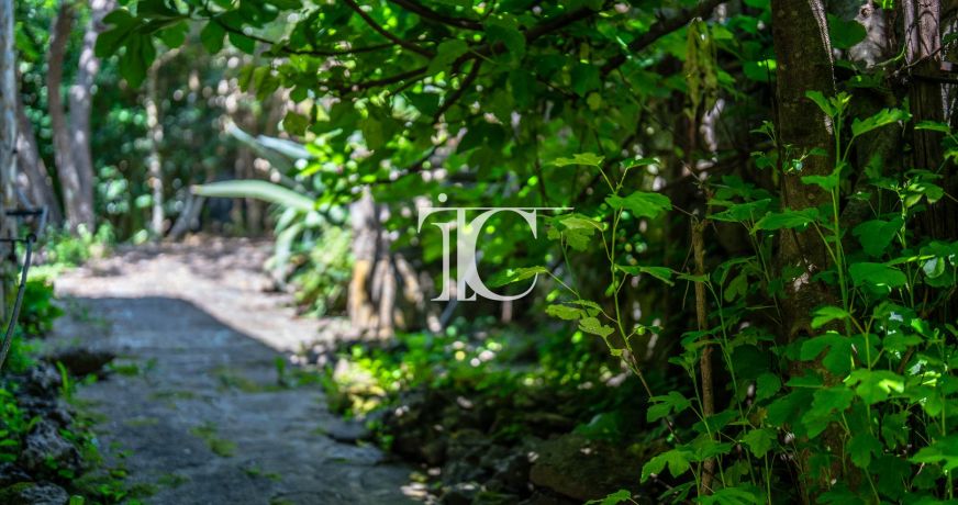 vente Maison Saint Paul Le Jeune