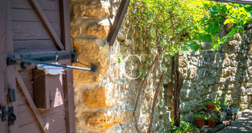 vente Maison Saint Paul Le Jeune