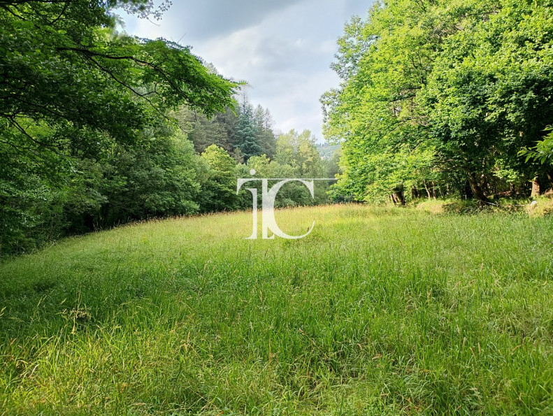 vente Ferme Genolhac - Photo 10