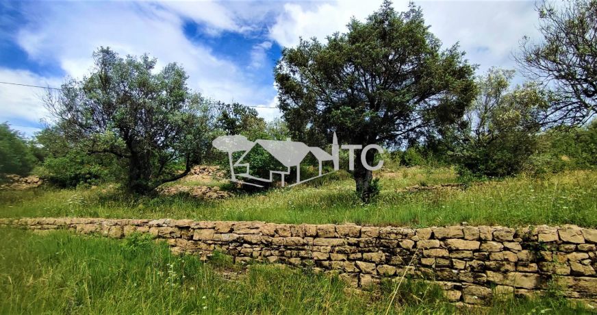 vente Maison Saint Paul Le Jeune