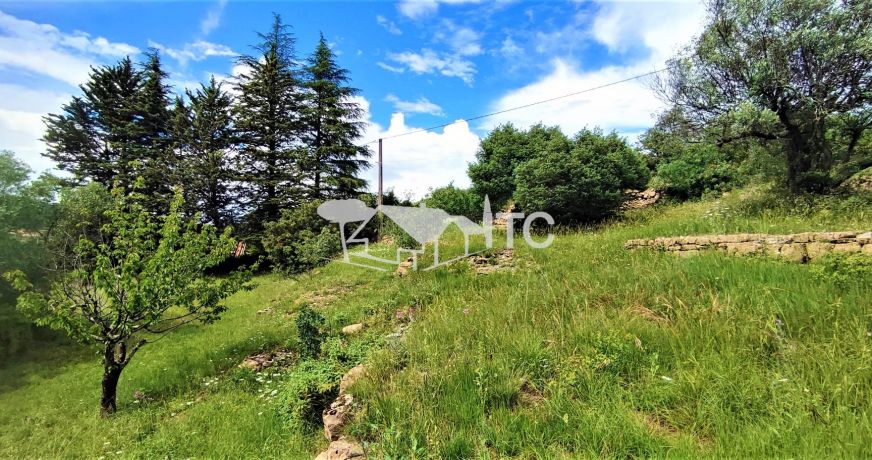 vente Maison Saint Paul Le Jeune