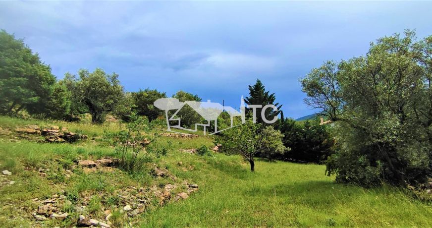 vente Maison Saint Paul Le Jeune