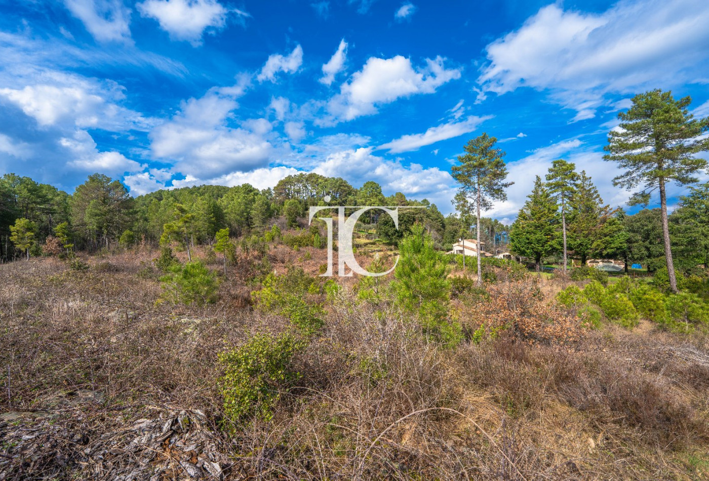 vente Terrain Bordezac - Photo 2