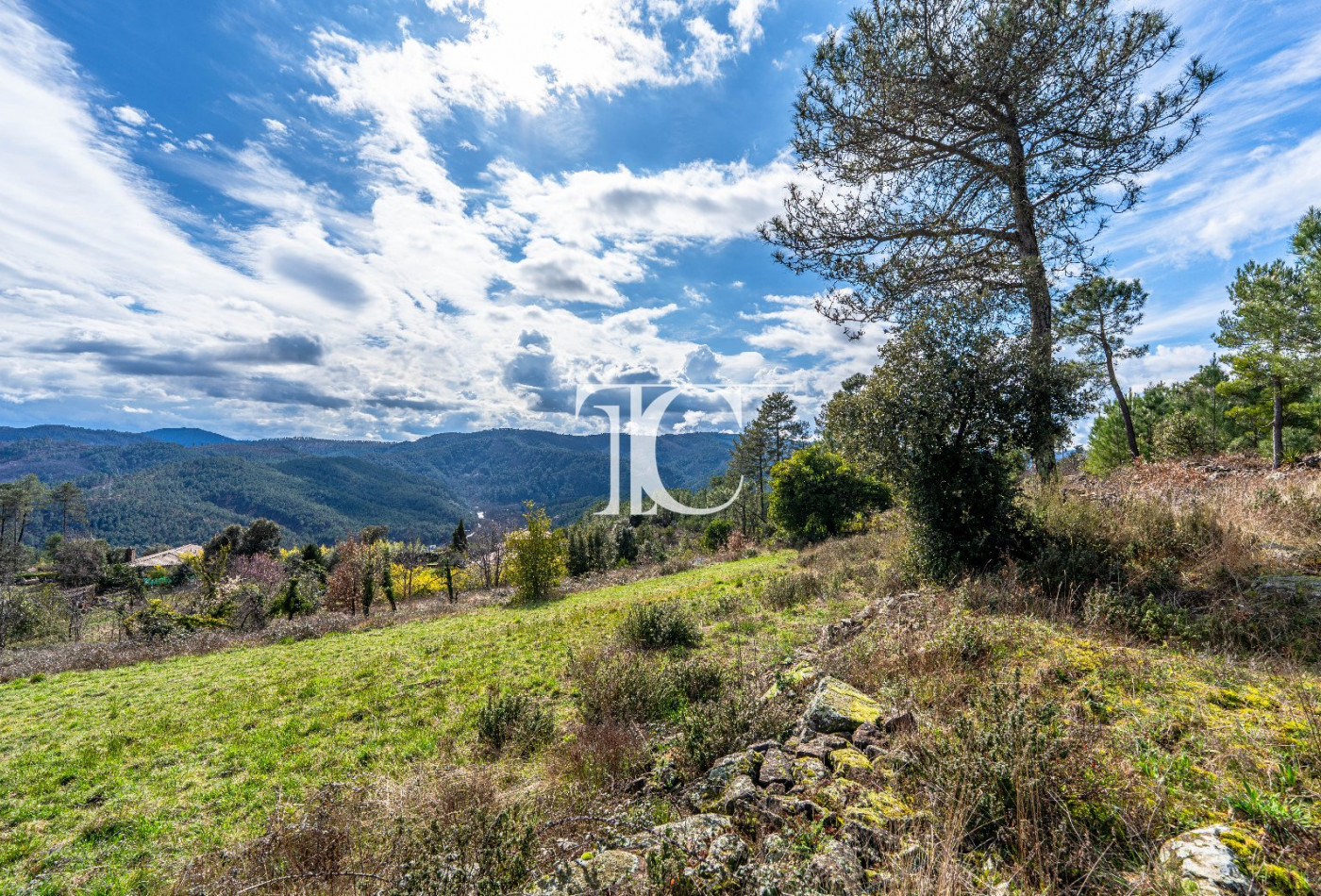 vente Terrain Bordezac - Photo 10