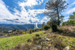 vente Terrain Bordezac