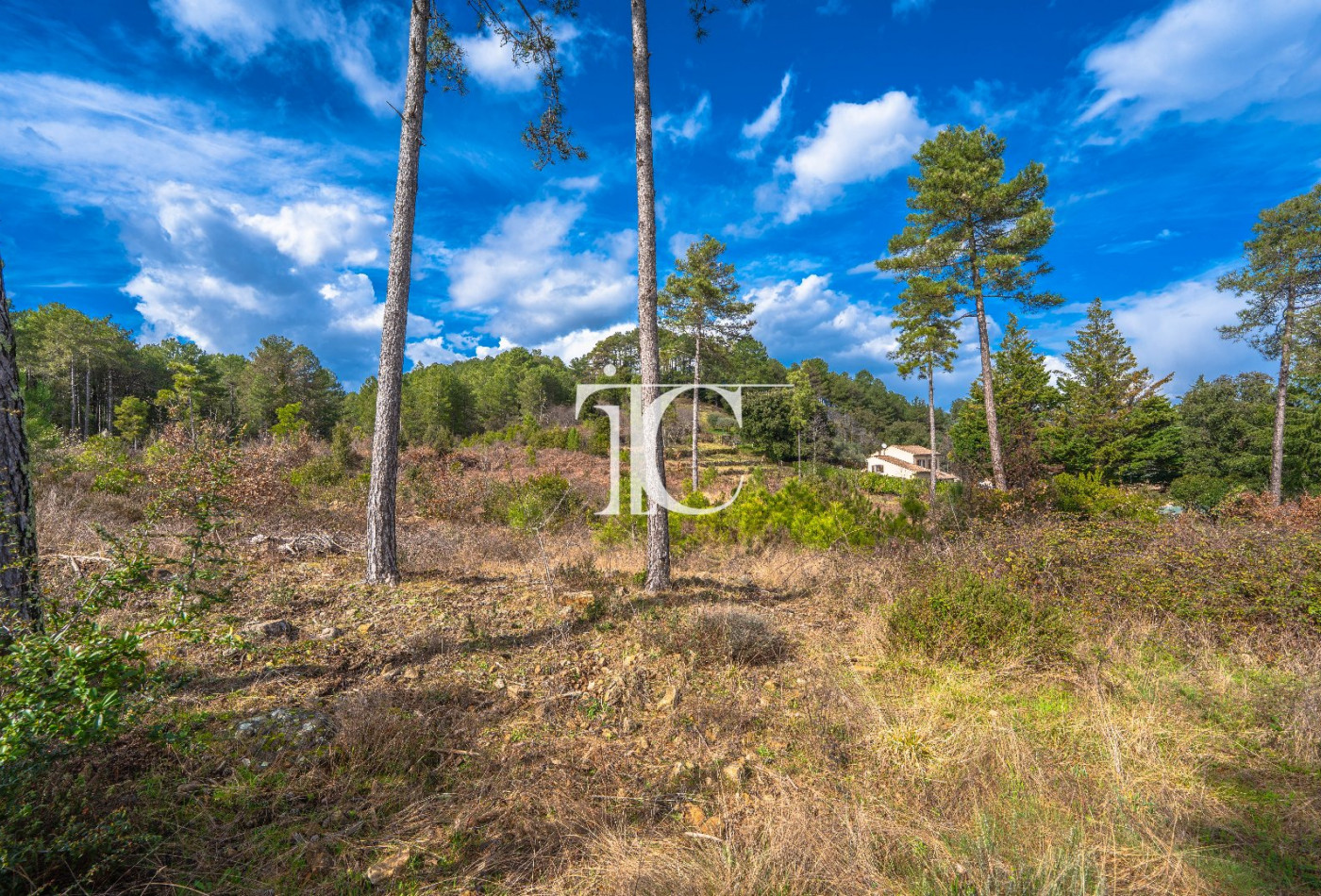 vente Terrain Bordezac - Photo 3